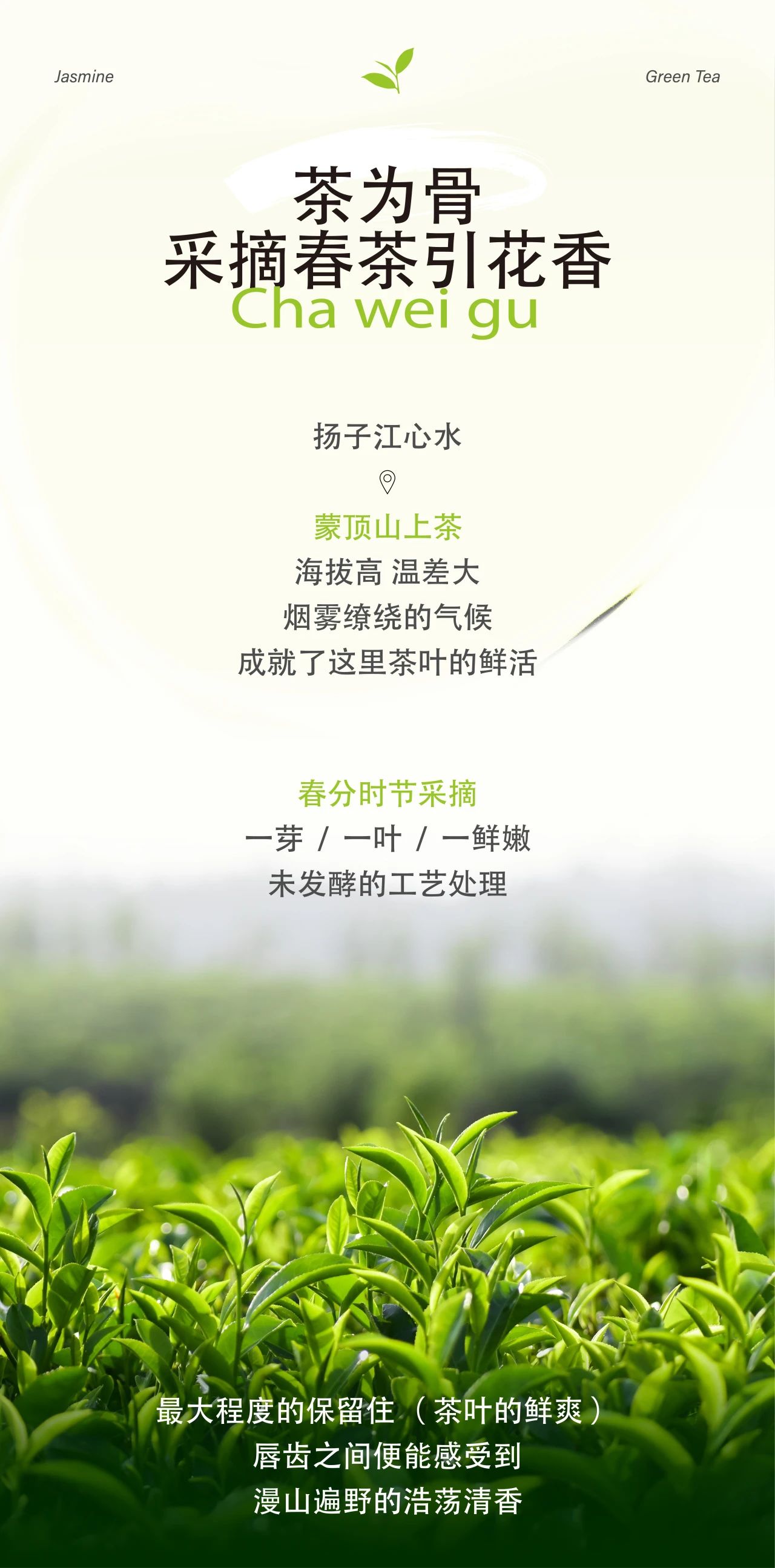 一口青梅綠，一段梅好時(shí)光