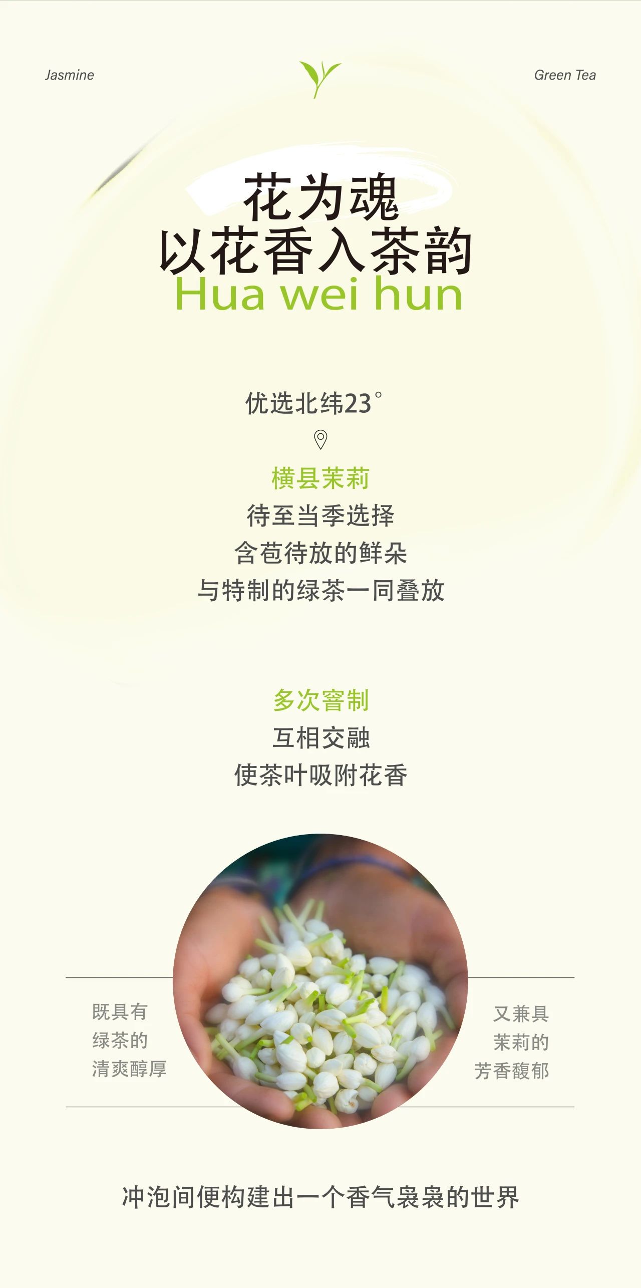 一口青梅綠，一段梅好時(shí)光